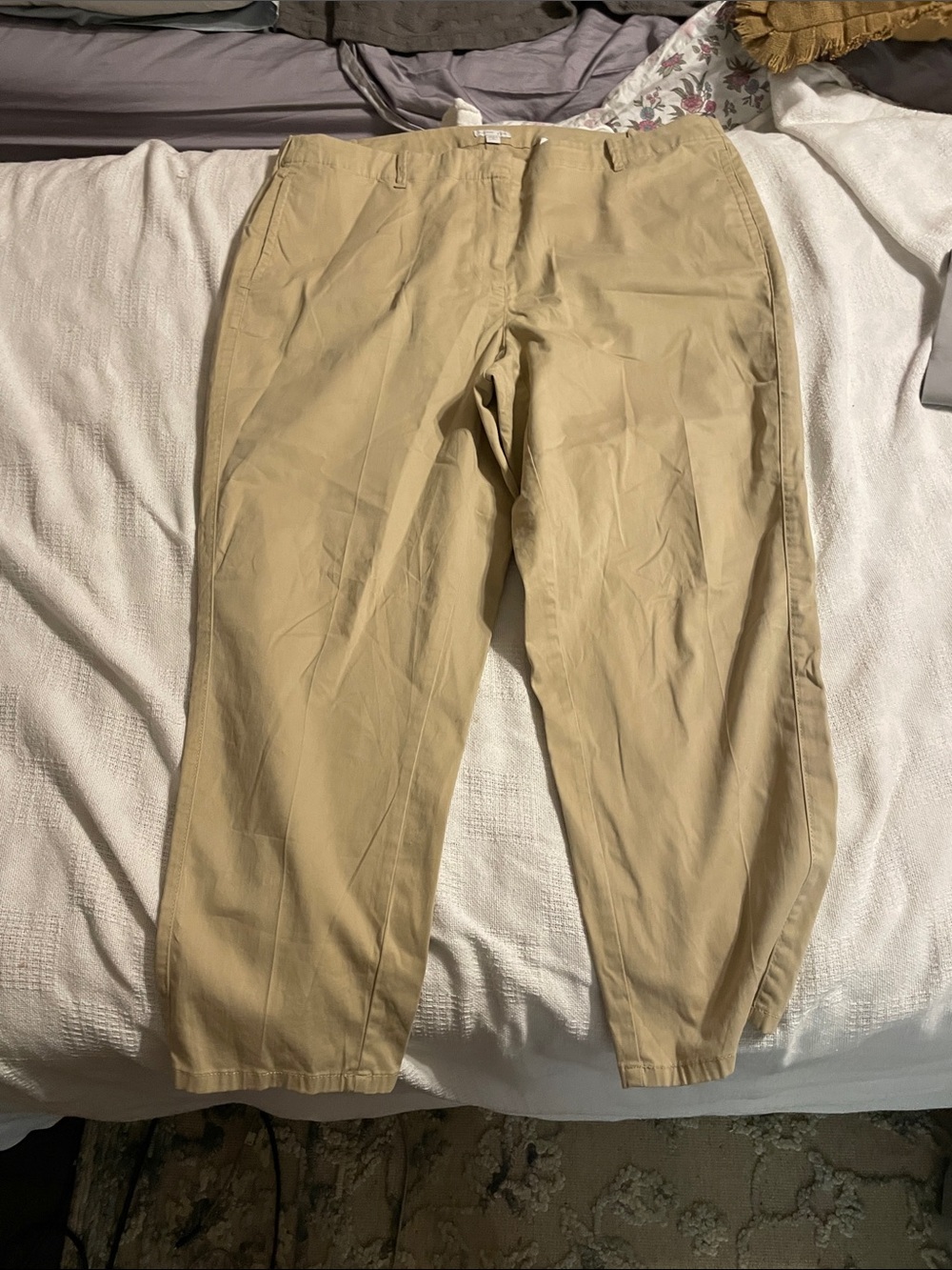 J. Jill Khaki Cotton Chinos in Light Tan